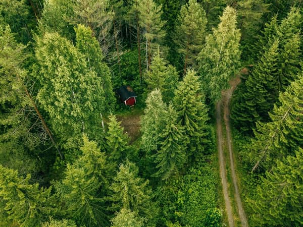 Natural Resource Management