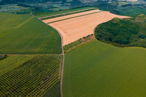 Aerial Surveys and Mapping